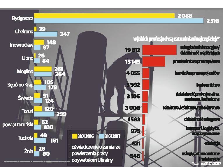 Ukraińcy pracy się nie boją [infografika]