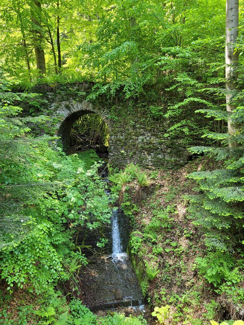 Most ukryty w głębi lasu