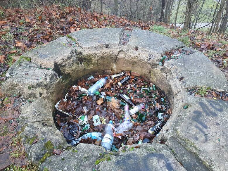 Ruska Górka w Obornikach Śląskich raz do roku jest sprzątana. Pierwsze śmieci pojawiają się tam już po dwóch dniach od akcji.