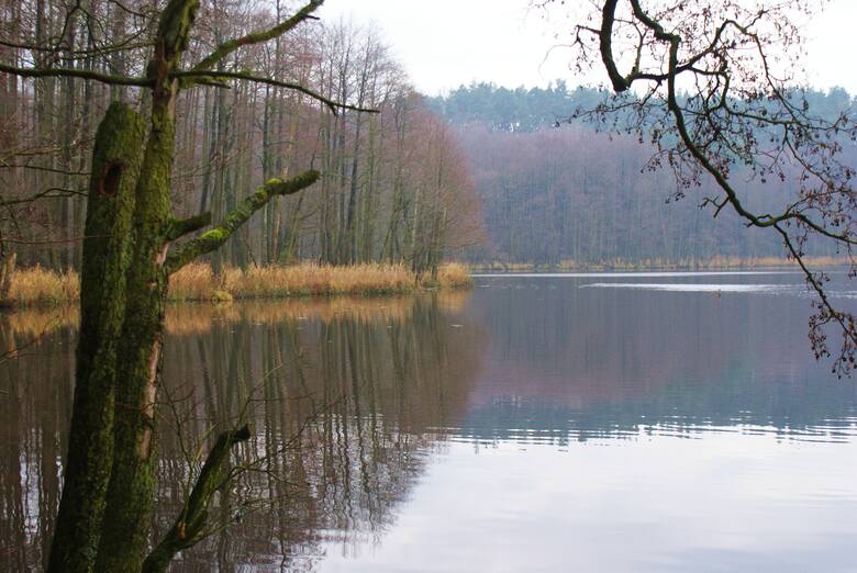 Niedługo krajobraz zazieleni się, ale Górznieńsko-Lidzbarski Park Krajobrazowy jest piękny o każdej porze roku