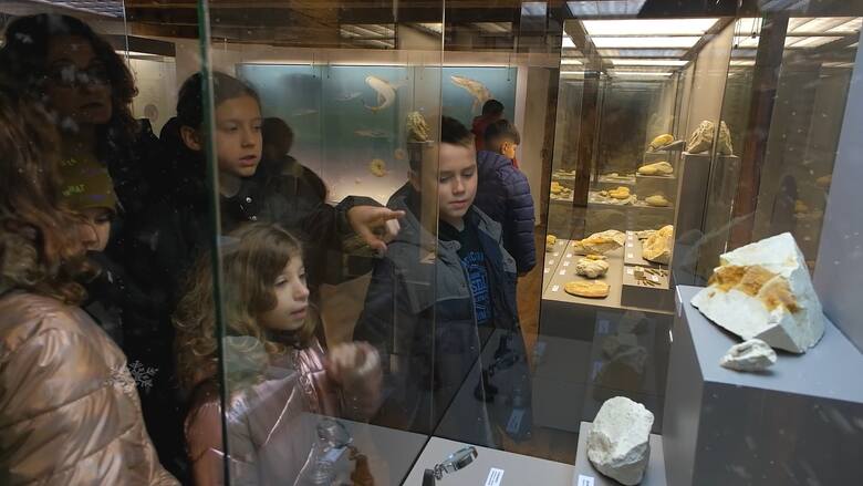 Prehistoryczny Lublin sprzed milionów lat był na dnie oceanu. Jakie dinozaury pływały po jego ulicach?