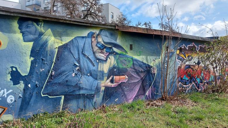 Graffiti często ozdabiają garaże, mury i ściany domów