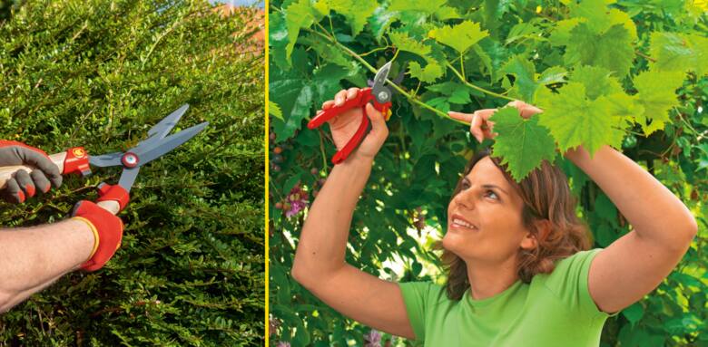 Letni niezbędnik - te narzędzia ułatwią ci pracę w ogrodzie!