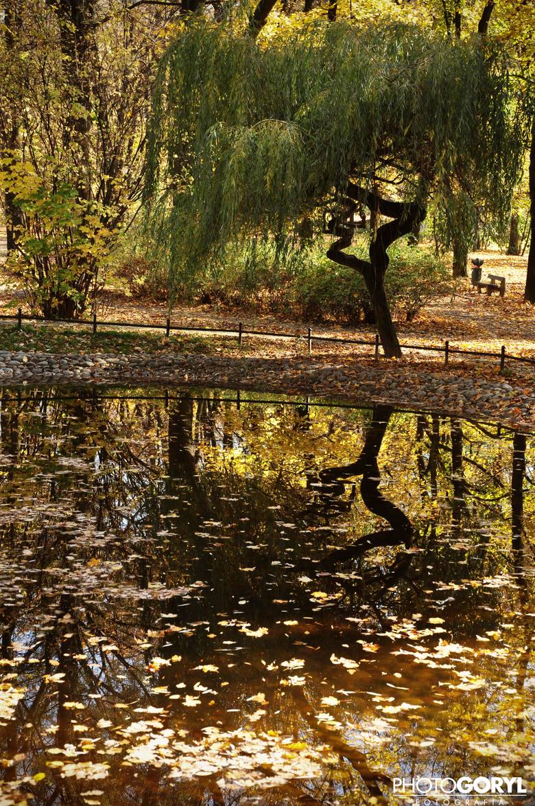 Jesienny Park Miejski w Tarnowskich Górach
