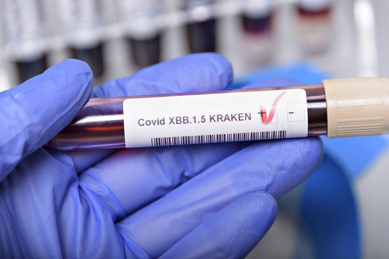 Próbówka z dodatnim wynikiem testu na koronawirus XBB1.5 Kraken