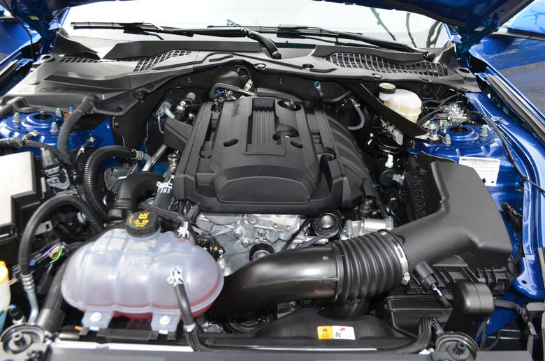 Ford Mustang Ford odczuwalnie zmienia zachowanie w każdym z zadanych trybów jazdy. V8 trudniej poskromić, zawsze powie swoje. Czterocylindrowy 2,3 EcoBoost,