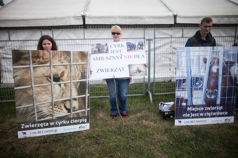 Protesty przeciwko cyrkom ze zwierzętami odbywały się w całym kraju.
