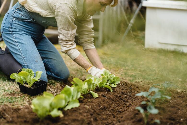 Samodzielne przygotowanie to tylko jeden ze sposobów na obniżenie kosztów utrzymania ogrodu.