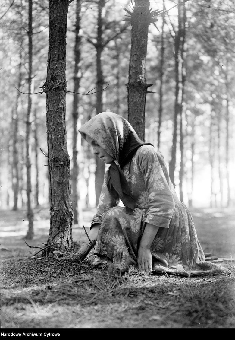 <strong>1932</strong><br /> <br /> Dziewczynka zbiera grzyby w lesie w okolicy Liszek.<br />  <br />  