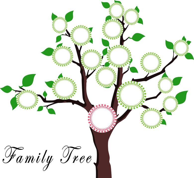 Drzewo genealogiczne [WZÓR, SZABLON]. Jak narysować drzewo genealogiczne rodziny - sprawdź, od kogo zacząć drzewo genealogiczne. Przeczytaj o drzewie