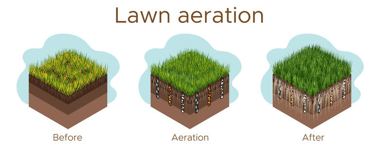 Dzięki nakłuciu darni i gleby, w podłoże lepiej wnika tlen, woda oraz składniki odżywcze z nawozów. Dzięki temu korzenie lepiej rozwijają się, a trawa