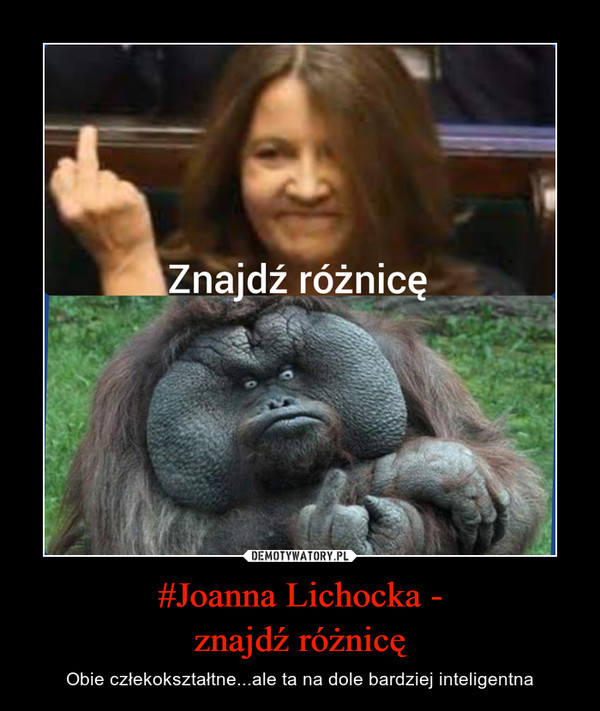 Środkowy palec posłanki Lichockiej z PiS - memy, śmieszne obrazki -  echodnia.eu