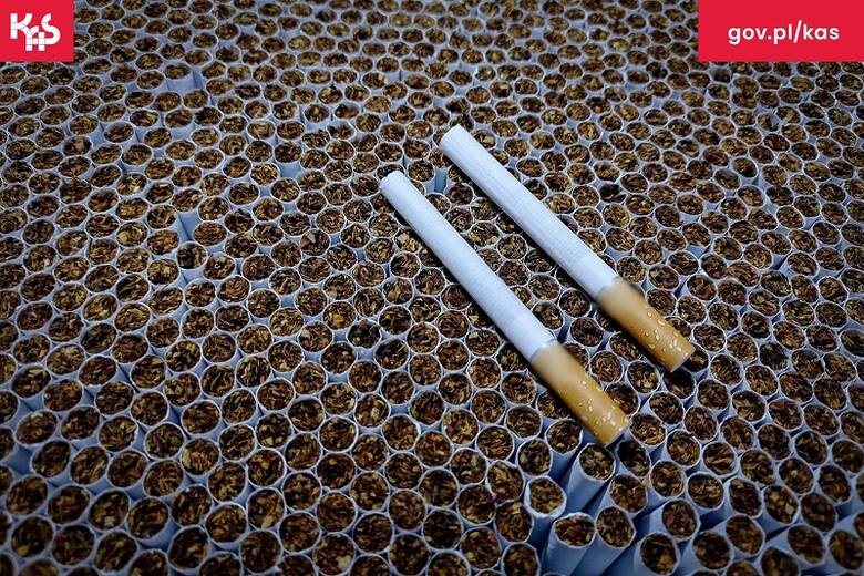 Wewnątrz fabryki znaleziono 9 mln nielegalnych papierosów, oznaczonych znakami towarowymi znanych producentów.