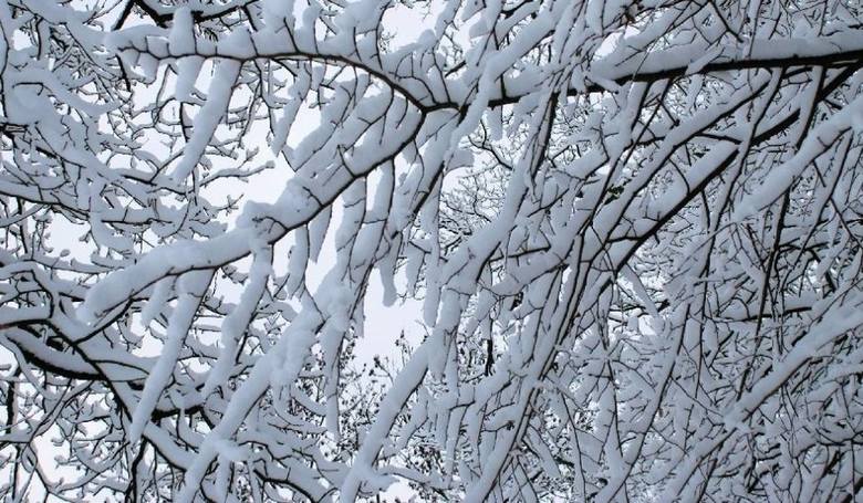 Pogoda na święta Bożego Narodzenia 2019: kiedy śnieg? Święta będą jednak deszczowe. Śnieg tylko w górach. Sprawdźcie długoterminową prognozę