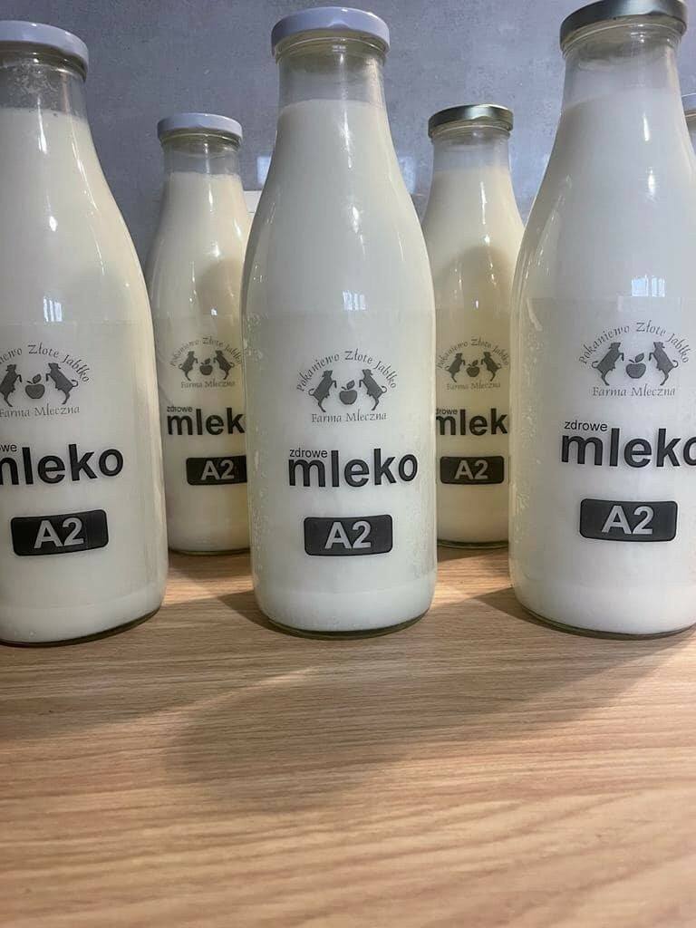 Mleko A2 produkowane w gospodarstwie Moniki i Tomka z Pokaniewa