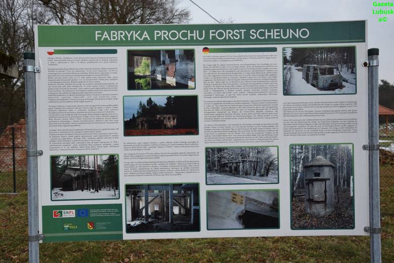 Tajemnica bunkrowego lasu. Fabryka prochu Forst Scheuno koło Brożka