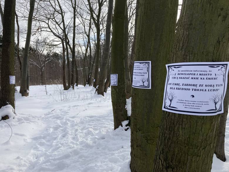 Akcja rozklejania nekrologów na drzewach w Brzeźnie.