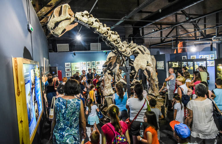 W dinoparkach można oglądać dinozaury jak żywe, a nie tylko szkielety wystawiane w muzeach (choć chętni często mogą oglądać także prehistoryczne koś