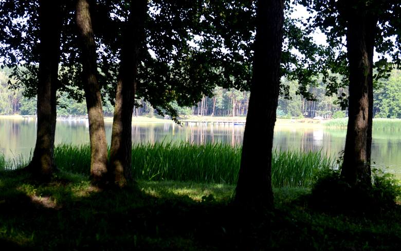 Spacerujemy po okolicach jezior Wojnowskie i Liny. Znajdziemy tu nie tylko piękne widoki
