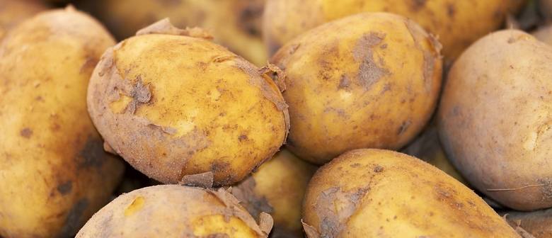 Ceny ziemniaków na targowiskach pod koniec września 2019 w regionie i w hurcie
