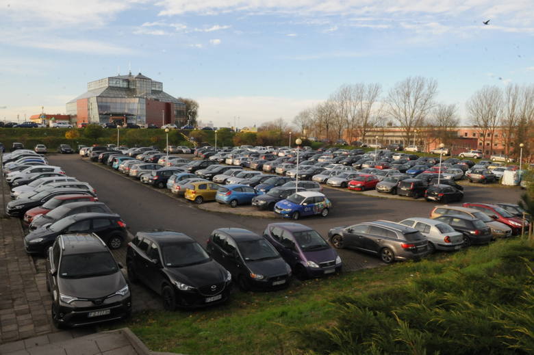 Obecny parking przy Palmiarni na co dzień jest zapełniony samochodami