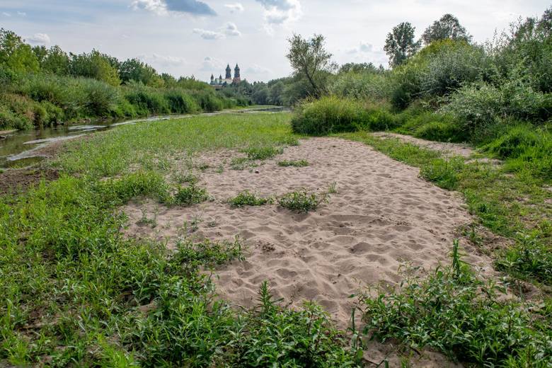 Już styczeń 2020 roku pokazał, że susza przestaje być też domeną najcieplejszych miesięcy. Na terenie Wielkopolski już na początku roku odnotowano susze rolniczą i atmosferyczną. <br /> 