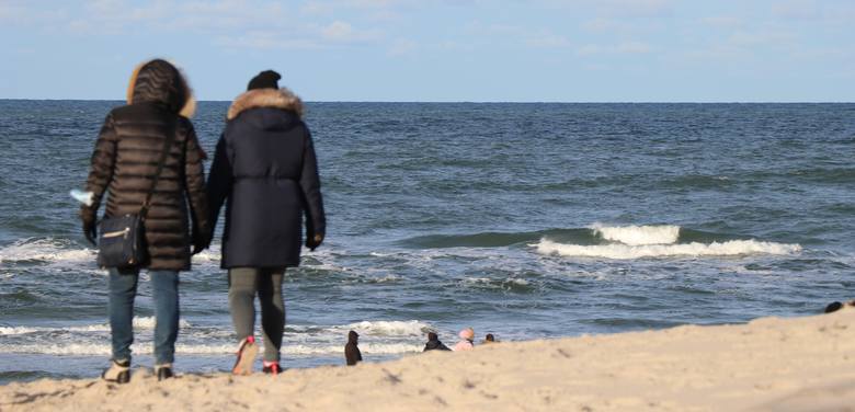 Nad Bałtykiem wciąż rozmawiają drapieżne morskie orły. Podczas noworocznego spaceru można też spotkać… morsa