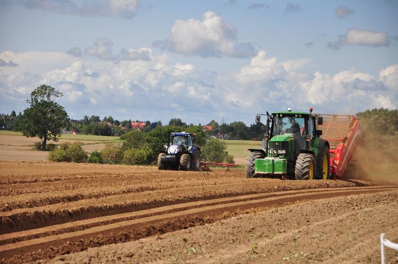 Rumuńscy rolnicy apelują do rządu, aby wprowadził embargo na ukraińskie zboże.