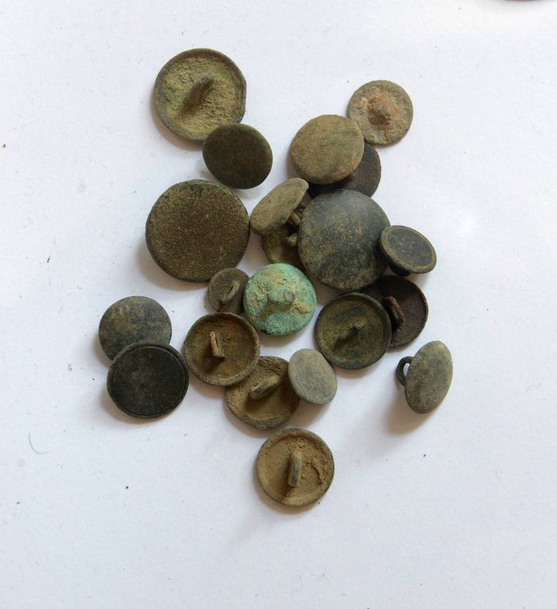 Spora kolekcja wojskowych guzików znalezionych na polu bitwy pod Kijami