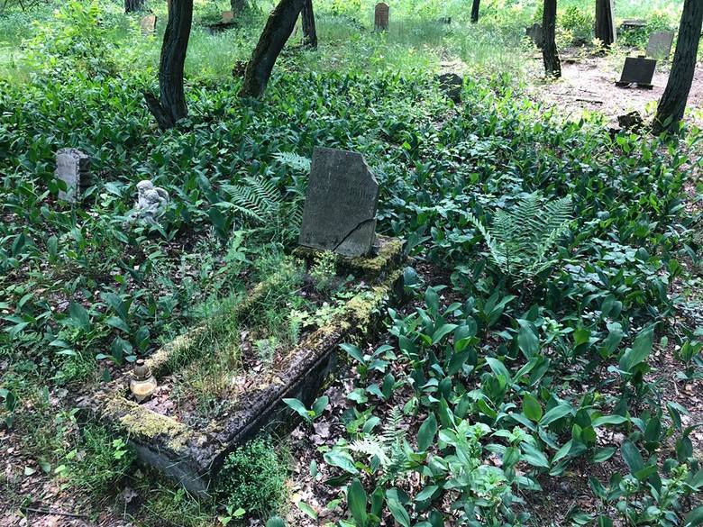 Cmentarz w Zielonej Górze Janach pochodzi z przełomu XIX i XX wiek