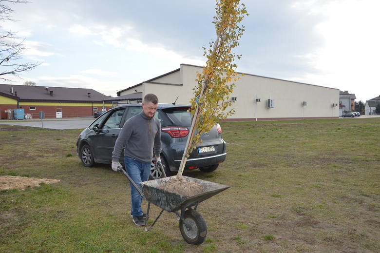 Akcja sadzenia drzew na Górkach w Łowiczu [ZDJĘCIA]