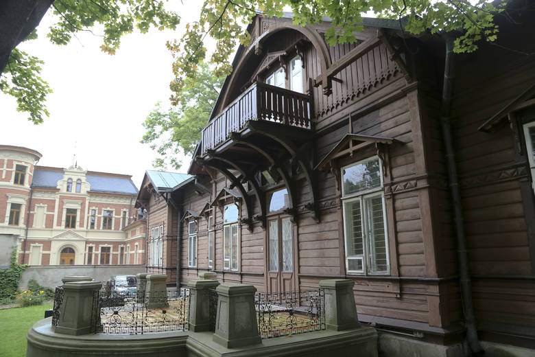W drewnianym budynku znajduje się Muzeum Rzeźby Alfonsa Karnego. Willa w 1878 roku należała do rodziny Malinowskich, potem nabył ją generał-major Mikołaj Fiodorowicz, baron von Driesen.