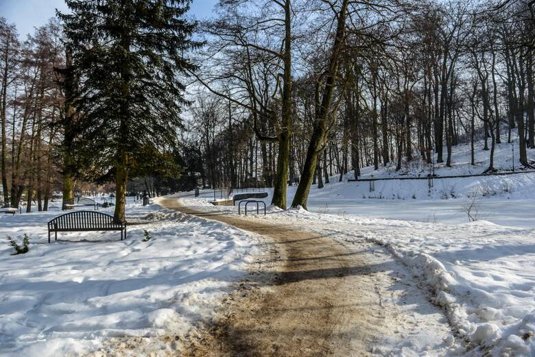 Lepiej omijać w czasie spacerów nisko pochylone drzewa i ciężkie gałęzie pokryte śniegiem i lodem. W ten sposób w razie czego unikniemy uderzenia spadającym
