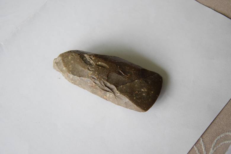 Przedmiot z kamienia, może siekierka, znaleziona w Zamczysku.
