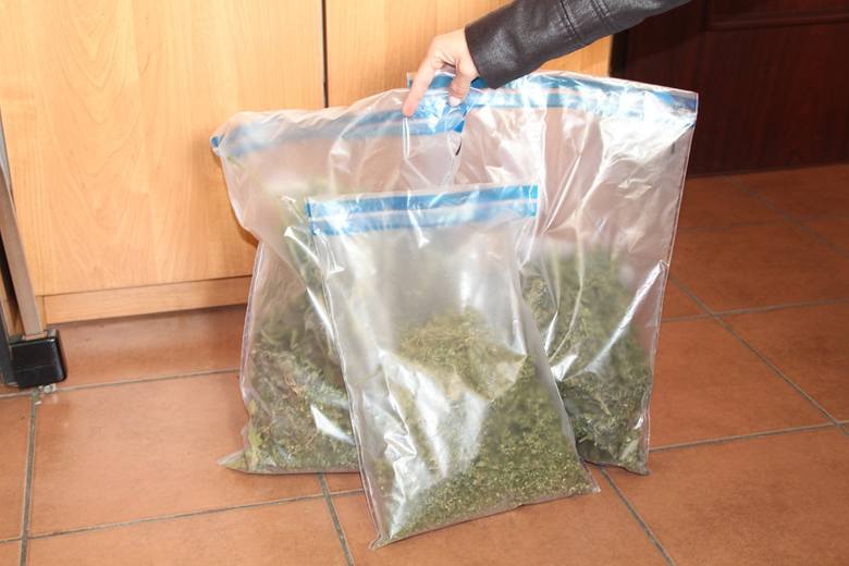 W jednej z miejscowości pod Nakłem w mieszkaniu 22-latka znaleziono ponad pół kilograma marihuany. Mężczyźnie grozi do 10 lat więzienia.