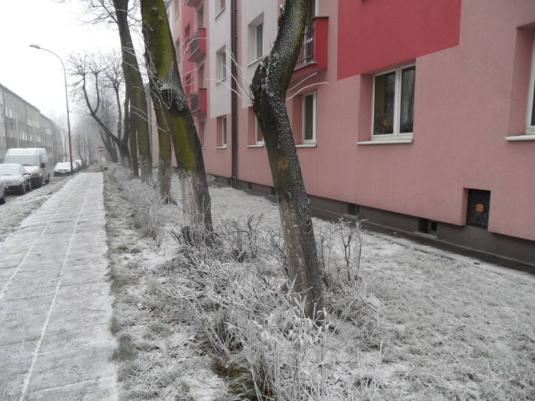 Atak zimy w Bytomiu. Pierwszy śnieg