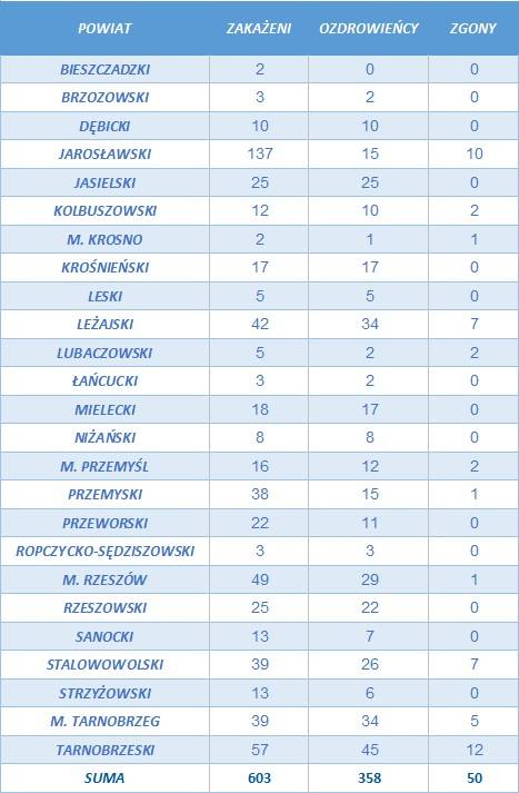 Aż 14 nowych zakażeń na Podkarpaciu. W Polsce 285 przypadków i 17 zgonów [RAPORT 26 VI]