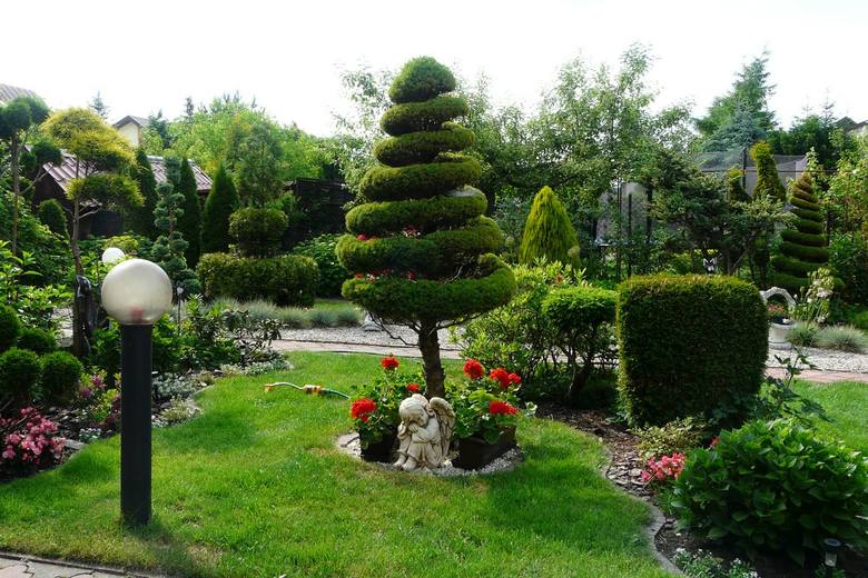 Przydomowy ogród Zofii Wosiak