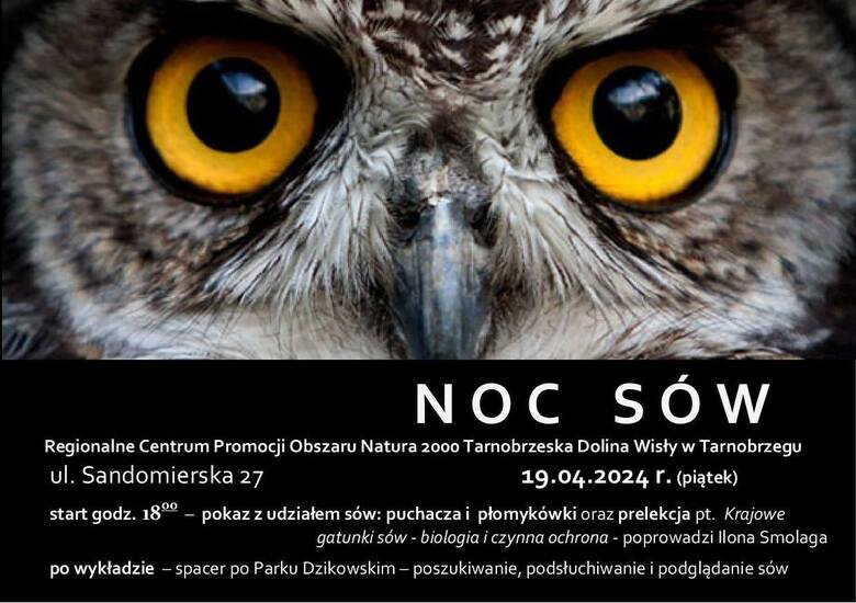 Noc sów w Tarnobrzegu. Centrum Natura 2000 zaprasza 19 kwietnia na wyjątkowe spotkanie i pokaz 