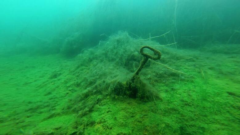 Pod wodą wytworzył się ekosystem z martwymi i żywymi roślinami.