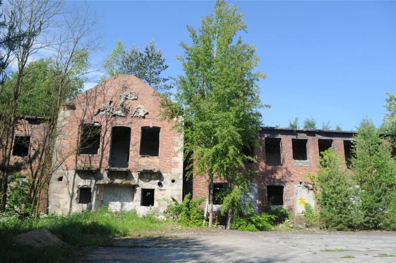 Pozostałości po fabryce broni w lesie w Krzystkowicach