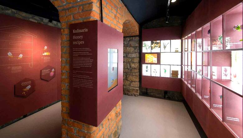 Muzeum Pszczelarskie Apilandia w Kleczy Dolnej k. Wadowic otworzyło się po zmianie ekspozycji i zaskoczyło nowymi atrakcjami