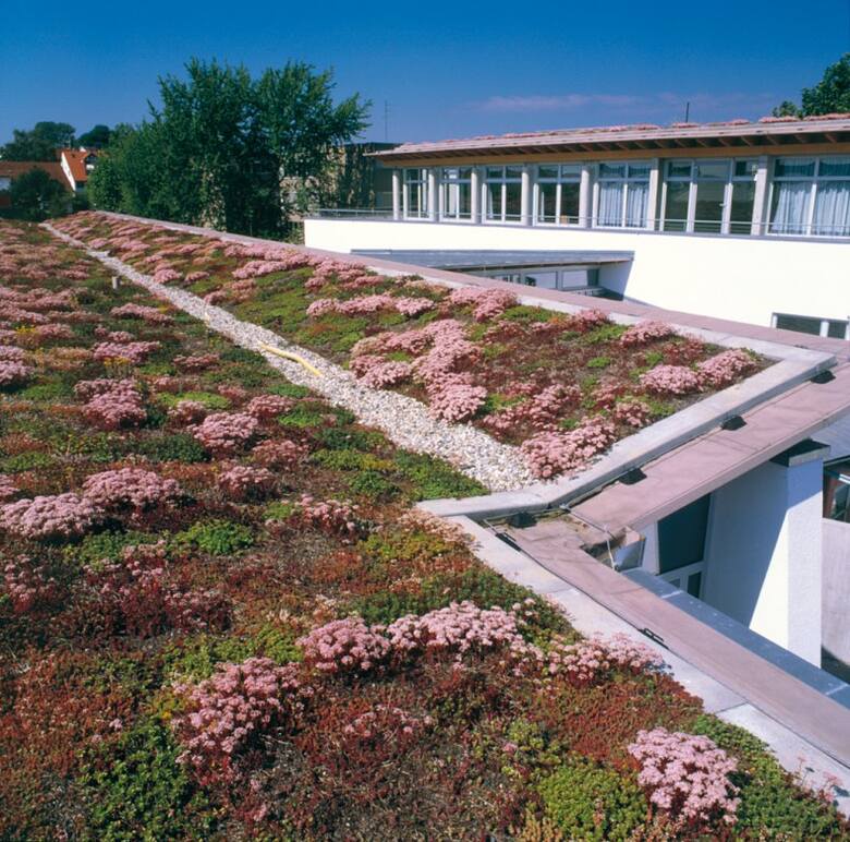 Planując dach zielony, trzeba wziąć pod uwagę to, że stanowi on poważne obciążenie dla konstrukcji.