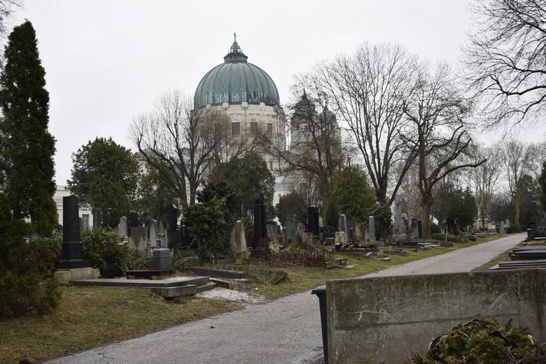 Tak wyglądają cmentarze europejskich stolic. Tym razem nekropolie w Wiedniu i Lizbonie [ZDJĘCIA]