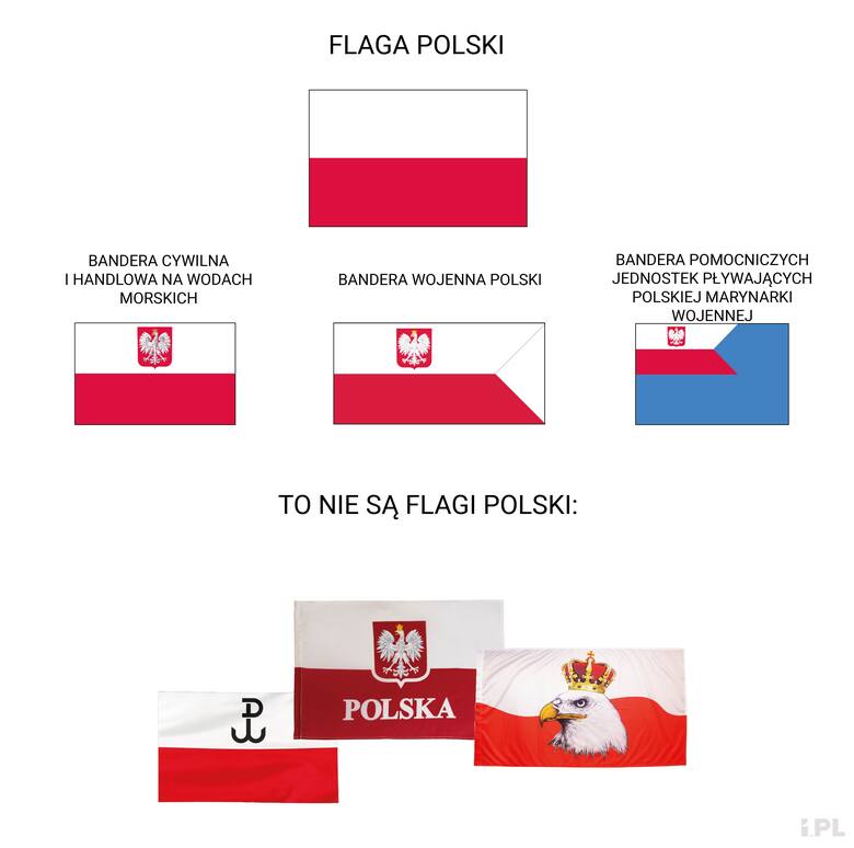 Polskie symbole 11 listopada, czyli flaga, godło i barwy narodowe. Jak się nimi posługiwać?