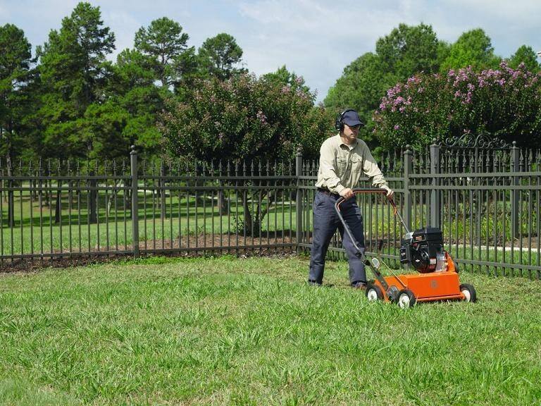 Zastosowanie profesjonalnego wertykulatora pomoże szybko i sprawnie zadbać o trawnik.