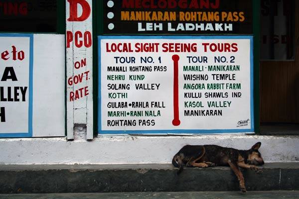 Podróz po Indiach<br /> Manali, Himachal Pradesh.