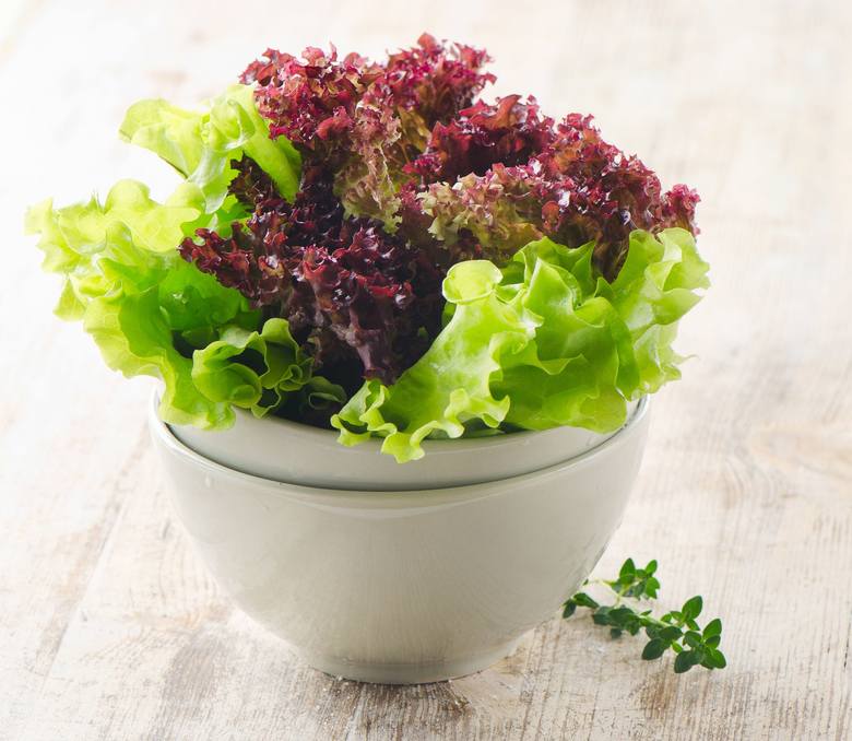 Dieta dr Dąbrowskiej nie mogłaby nie zawierać sałat i innych warzyw liściastych, które są najlepszym źródłem odtruwającego organizm chlorofilu.