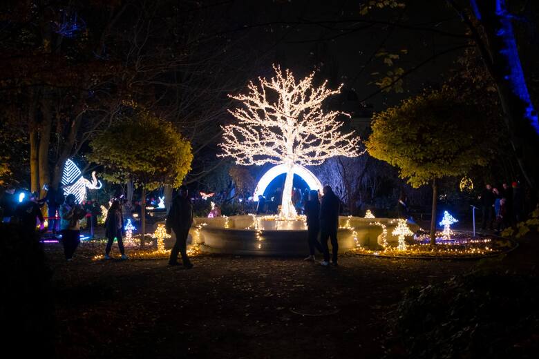 Świetlne atrakcje ogrodu świateł w Warszawie
