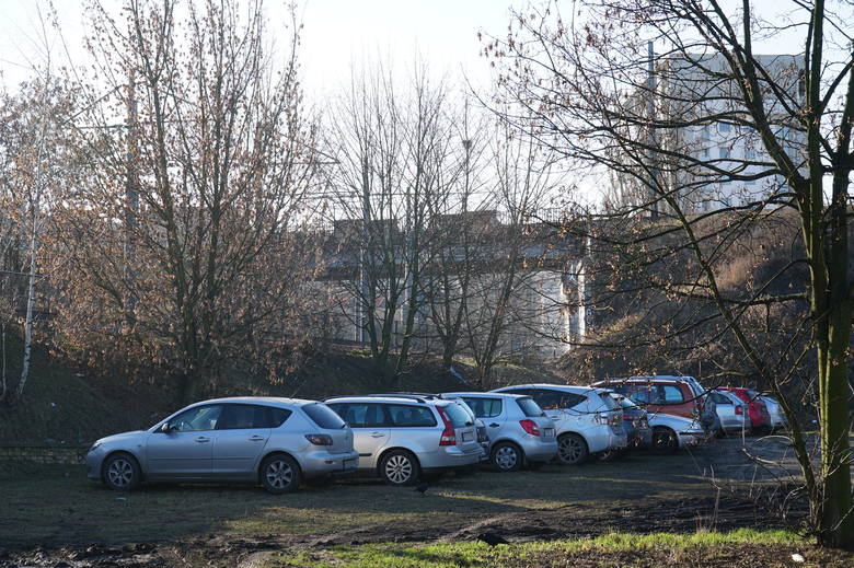 Strefa płatnego parkowania w Poznaniu ma się zmienić: będzie większa, droższa i ma obowiązywać także w soboty